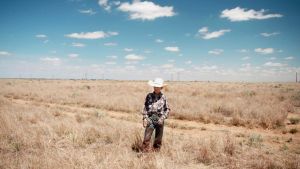 Filmbild aus "The Cowboy"