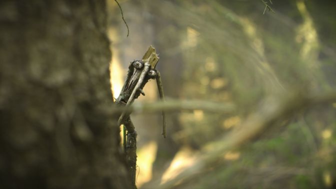Filmstill aus Martin und das Geheimnis des Waldes