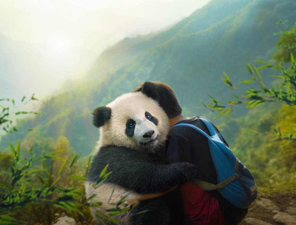 Filmstill aus Moon, der Panda