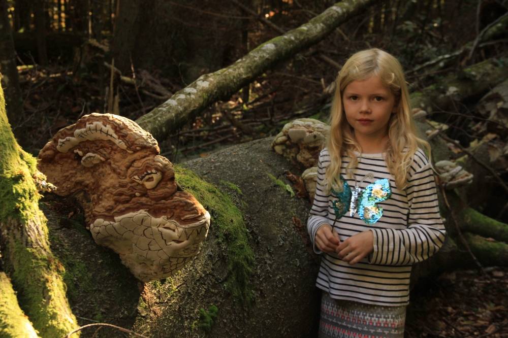 Filmstill aus Lene und die Geister des Waldes