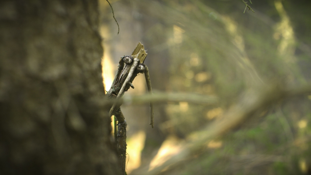 Filmstill aus Martin und das Geheimnis des Waldes