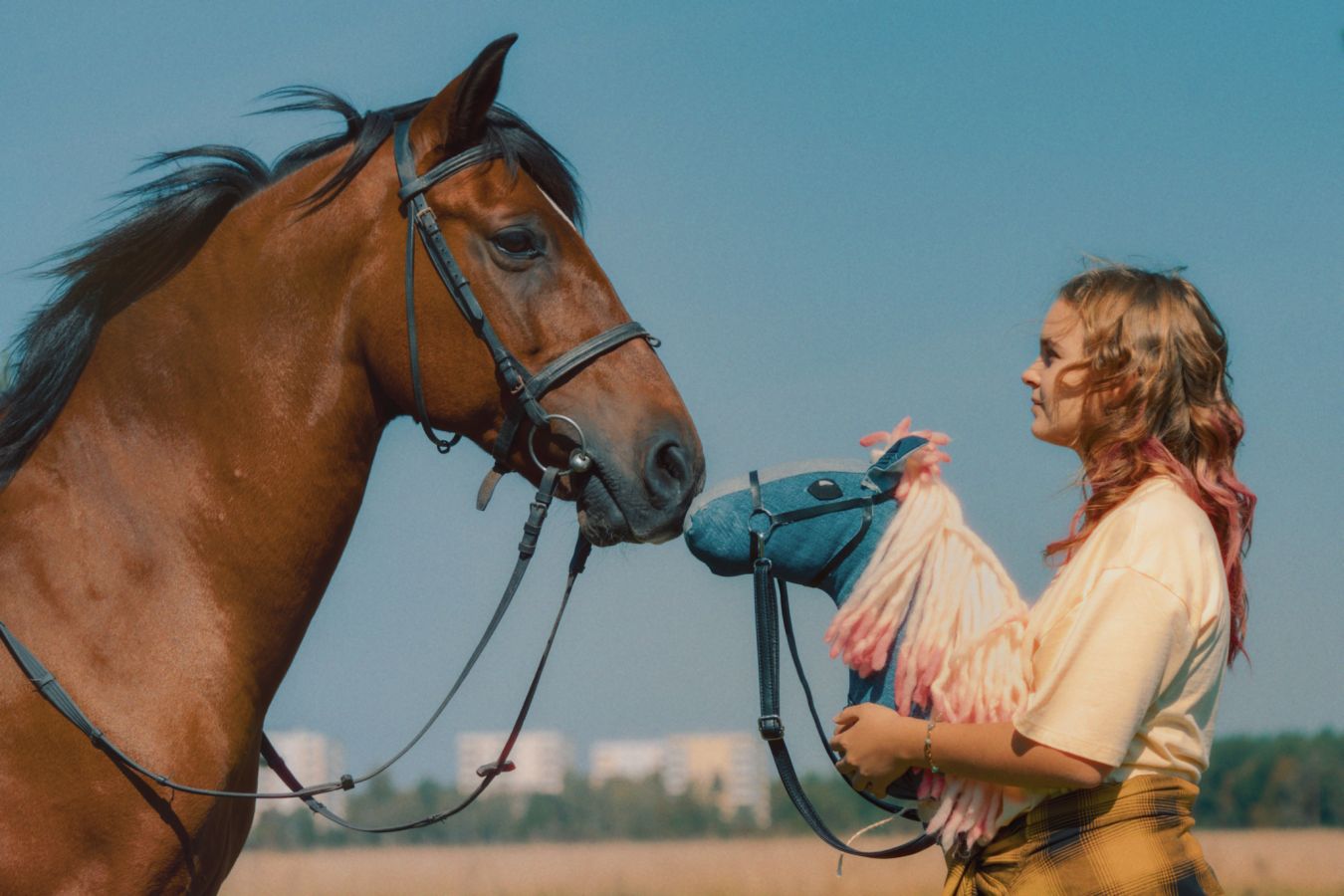 Filmstill aus Pferd am Stiel
