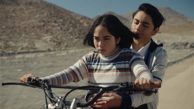 Der geheimnisvolle Blick des Flamingos - Der geheimnisvolle Blick des Flamingos