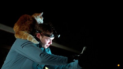 Folktales - Folktales