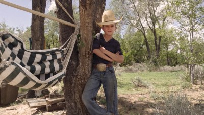 The Cowboy - The Cowboy