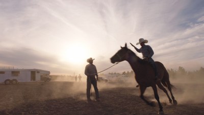The Cowboy - The Cowboy