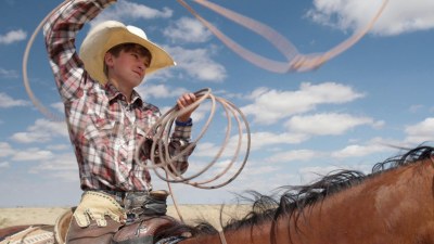 The Cowboy - The Cowboy